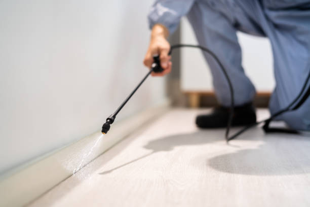 Licensed Pest Control service in Liberty, UT - Show Me Pest Control