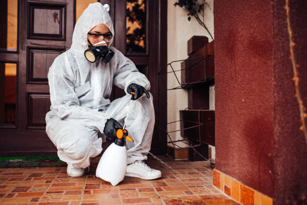 Reliable Wasp Removal contractor in Liberty, UT by Show Me Pest Control